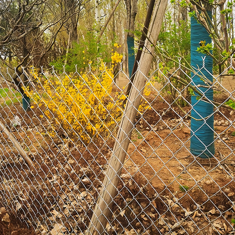 Livestock Fencing